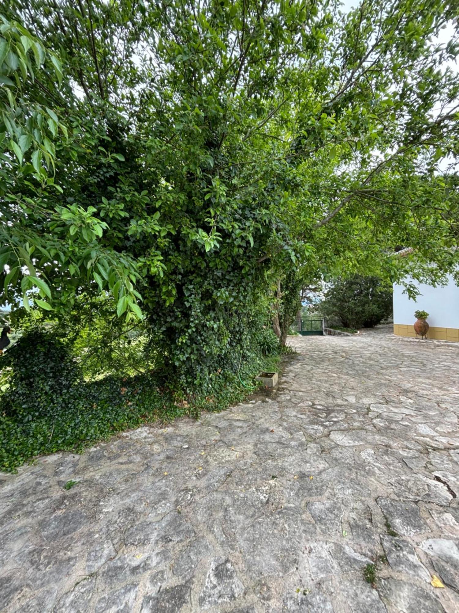 Casa Da Nogueira Villa โตมาร์ ภายนอก รูปภาพ
