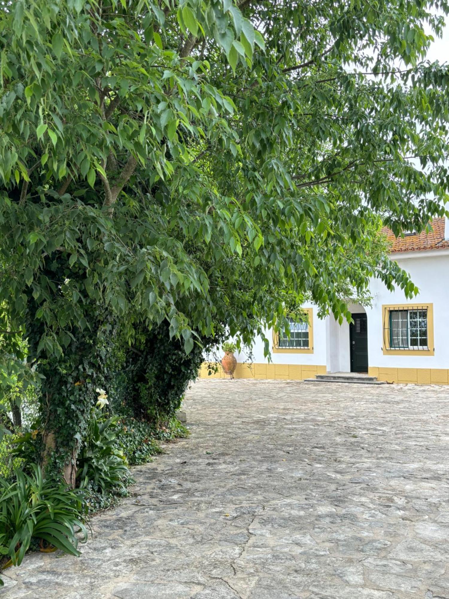 Casa Da Nogueira Villa โตมาร์ ภายนอก รูปภาพ