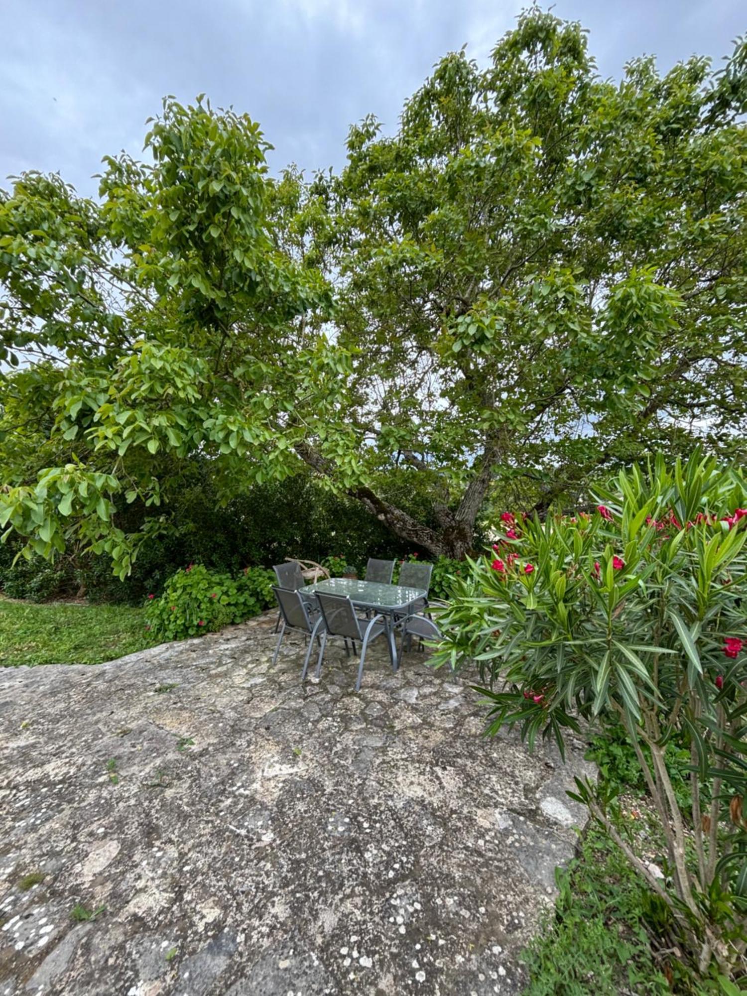 Casa Da Nogueira Villa โตมาร์ ภายนอก รูปภาพ